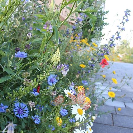 דילינגן אן דר דונאו Ferienwohnungen "Blumenwiese" מראה חיצוני תמונה
