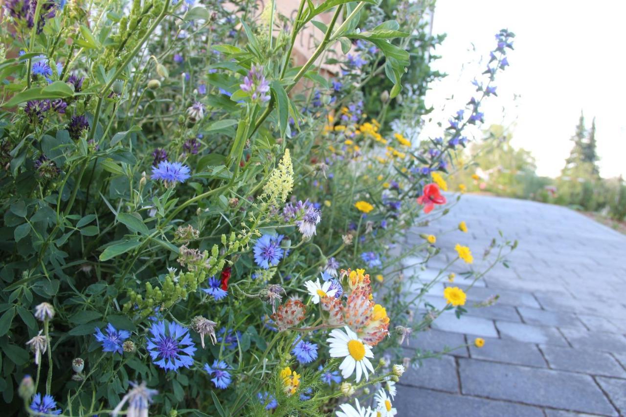 דילינגן אן דר דונאו Ferienwohnungen "Blumenwiese" מראה חיצוני תמונה