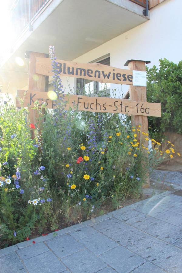 דילינגן אן דר דונאו Ferienwohnungen "Blumenwiese" מראה חיצוני תמונה